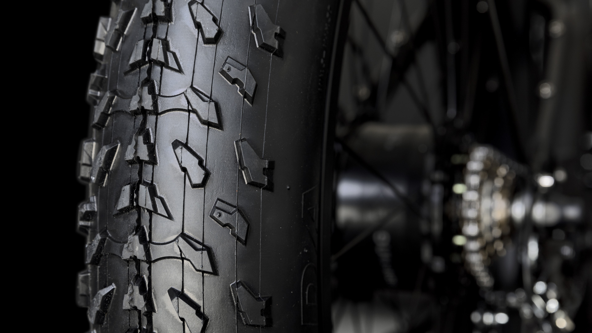 Fat bike
