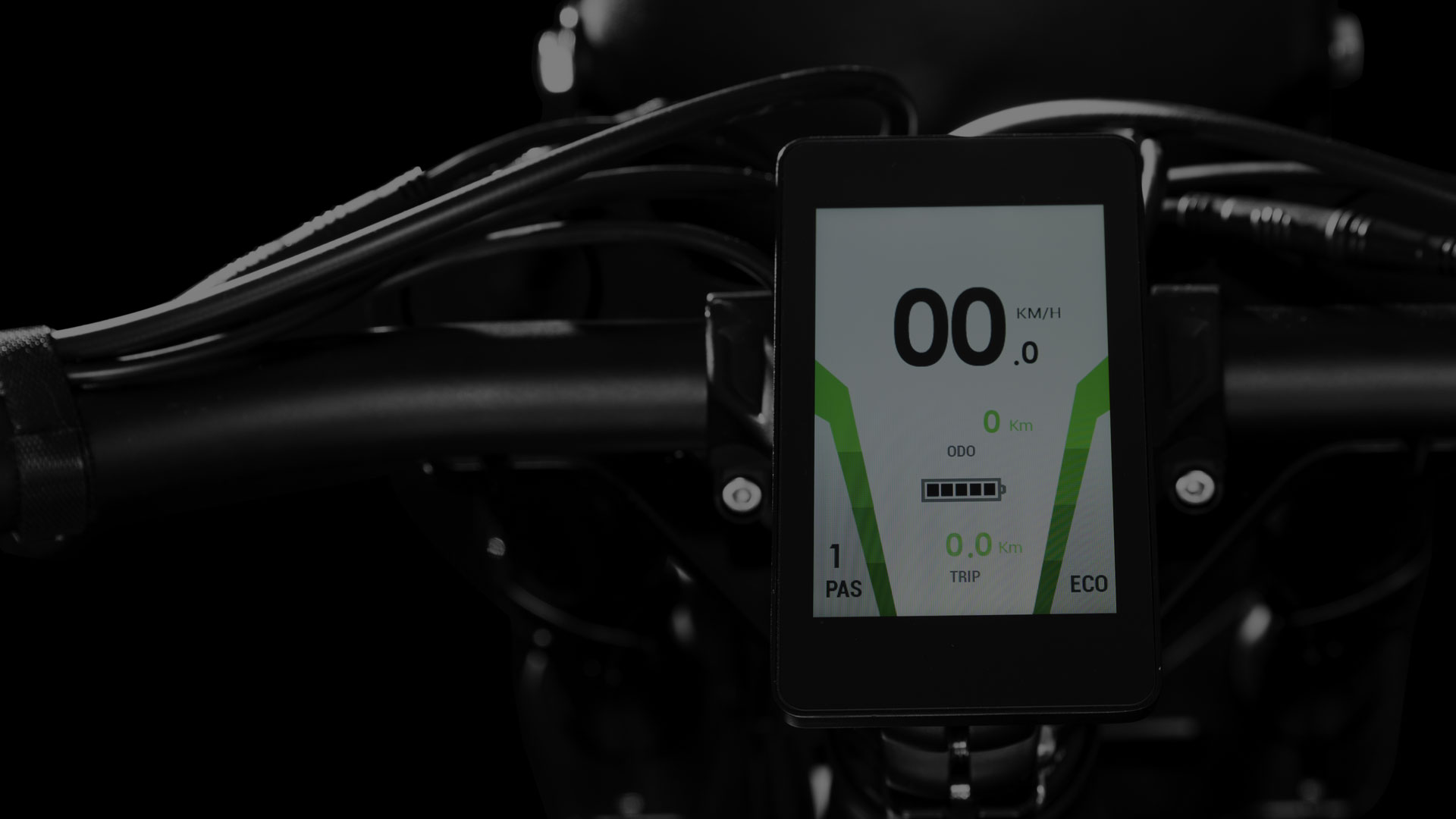 Display LCD ebike